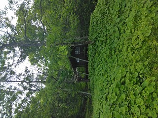 housesearch_img_02