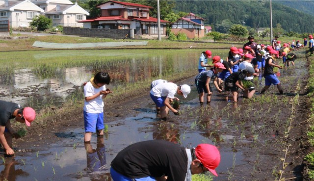 木島平小学校では毎年子ども達が苗づくりから販売まで自分たちでやるなど、木島平型教育は各地から視察に来られるほど特色があります。