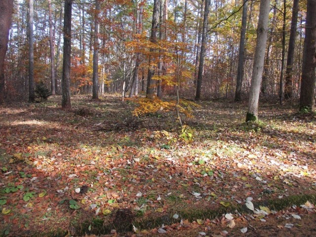 housesearch_img_03