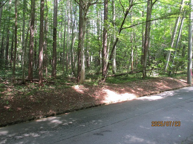 housesearch_img_02